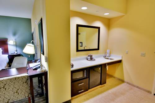 Imagen de la habitación del Hotel Hampton Inn & Suites West Sacramento. Foto 4