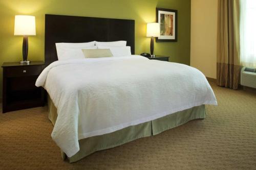 Imagen de la habitación del Hotel Hampton Inn & Suites Wheeling - The Highlands. Foto 5