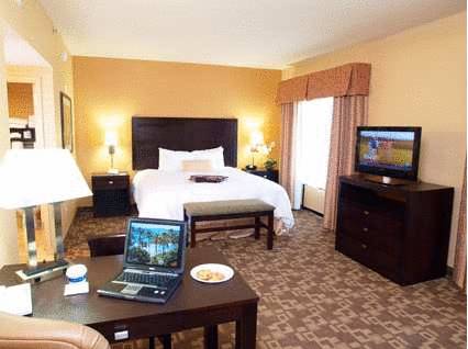 Imagen de la habitación del Hotel Hampton Inn & Suites-knoxville/north I-75. Foto 4