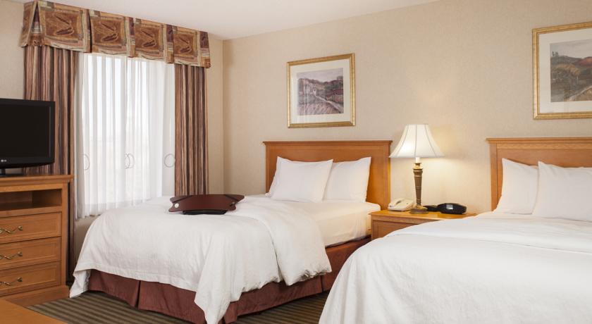 Imagen general del Hotel Hampton Inn and Suites Addison. Foto 7