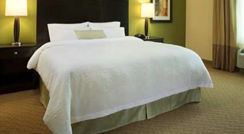 Imagen general del Hotel Hampton Inn and Suites Albany At Albany Mall. Foto 3