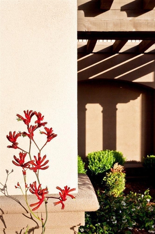 Imagen general del Hotel Hampton Inn and Suites Arroyo Grande/pismo Beach Area, Ca. Foto 5