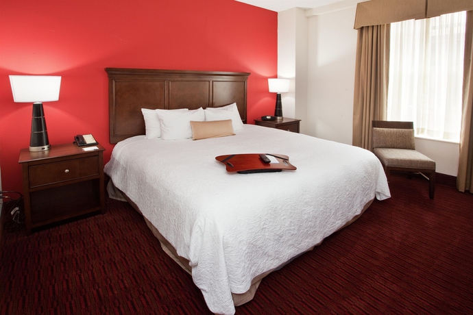 Imagen de la habitación del Hotel Hampton Inn and Suites Atlanta Downtown. Foto 3