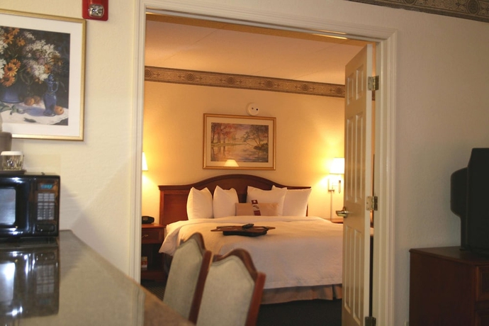 Imagen de la habitación del Hotel Hampton Inn and Suites Atlanta Galleria. Foto 14