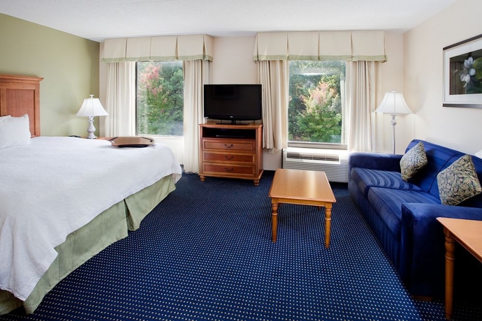Imagen de la habitación del Hotel Hampton Inn and Suites Atl-six Flags. Foto 8