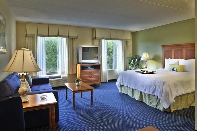 Imagen de la habitación del Hotel Hampton Inn and Suites Atl-six Flags. Foto 9