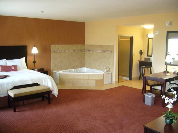 Imagen de la habitación del Hotel Hampton Inn and Suites Austin South/buda. Foto 5