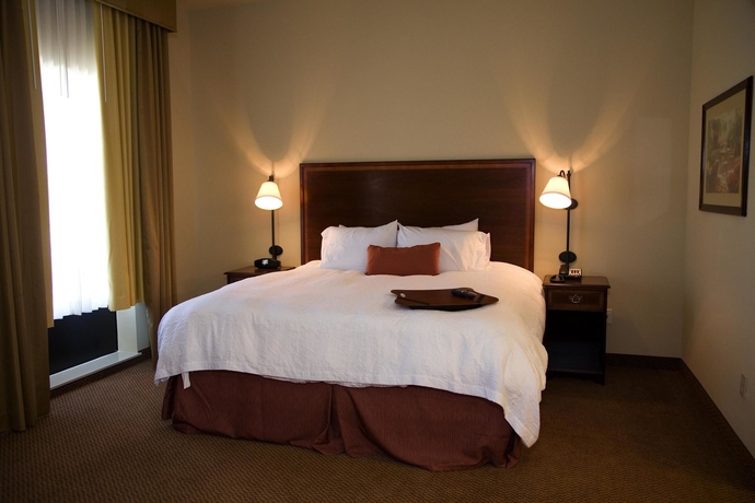 Imagen de la habitación del Hotel Hampton Inn and Suites Baton Rouge - I-10 East. Foto 3