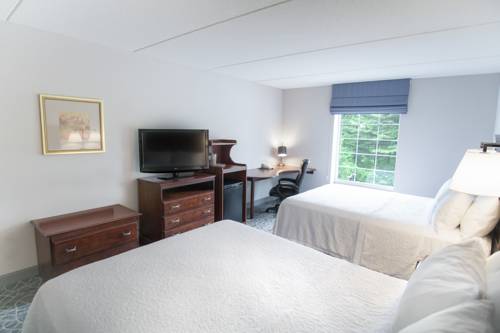 Imagen de la habitación del Hotel Hampton Inn and Suites Berkshires-lenox. Foto 6
