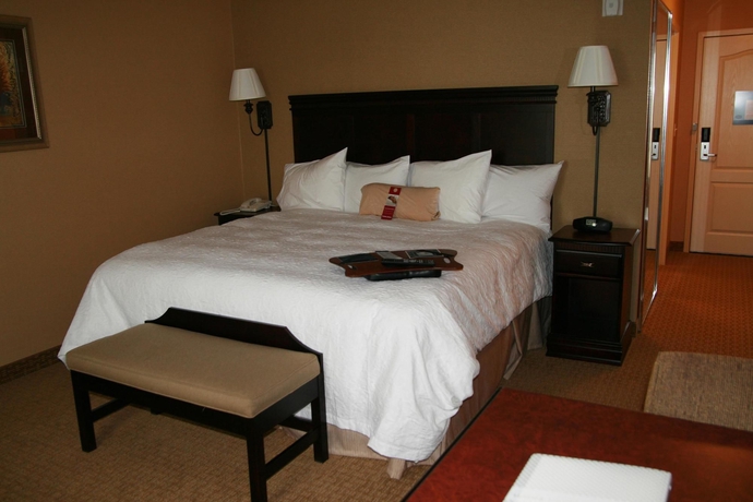 Imagen de la habitación del Hotel Hampton Inn and Suites Billings West I-90. Foto 7