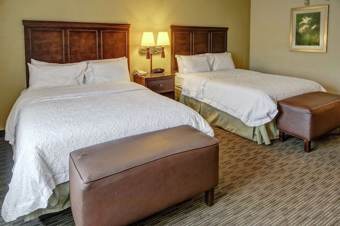 Imagen de la habitación del Hotel Hampton Inn and Suites Birmingham/280 East-eagle Point. Foto 10