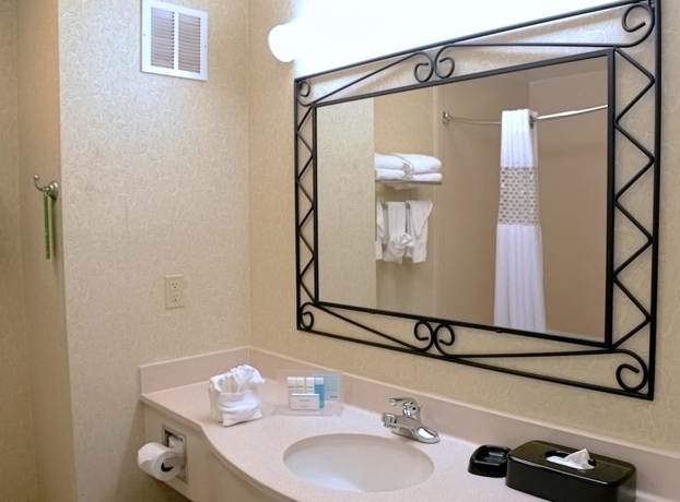 Imagen de la habitación del Hotel Hampton Inn and Suites Birmingham-pelham (i-65). Foto 11