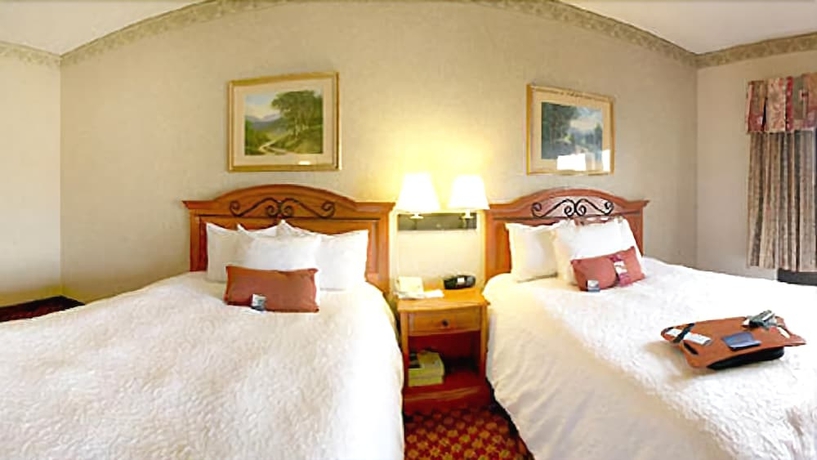 Imagen de la habitación del Hotel Hampton Inn and Suites Birmingham-pelham (i-65). Foto 12