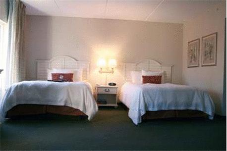 Imagen general del Hotel Hampton Inn and Suites Bluffton-sun City. Foto 3