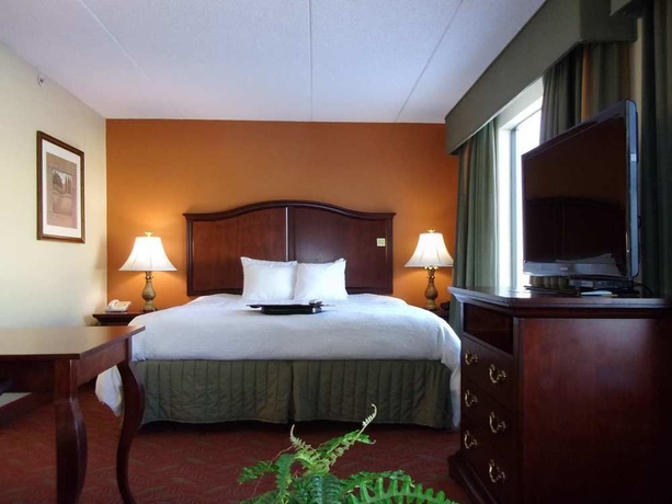 Imagen de la habitación del Hotel Hampton Inn and Suites Bolingbrook. Foto 4