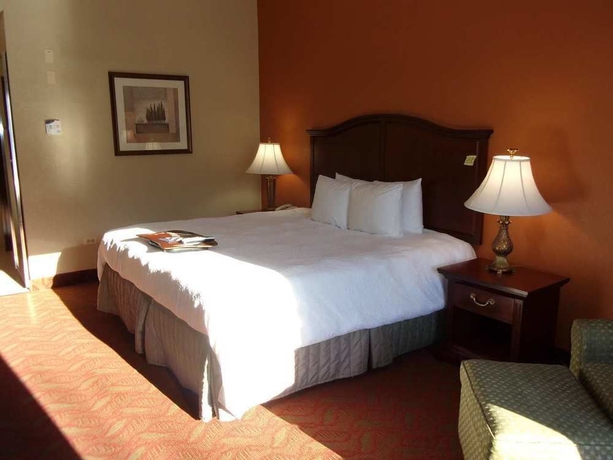 Imagen de la habitación del Hotel Hampton Inn and Suites Bolingbrook. Foto 7