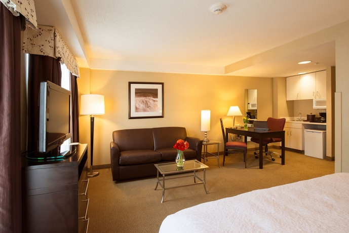 Imagen de los interiores del Hotel Hampton Inn and Suites Boston Crosstown Center. Foto 11