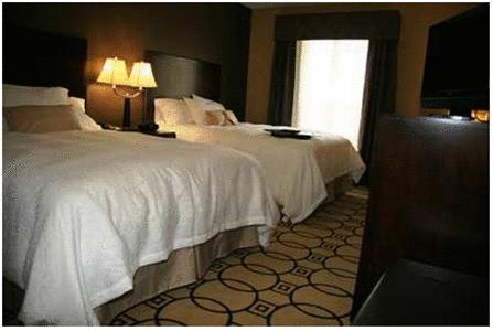 Imagen general del Hotel Hampton Inn and Suites Brunswick. Foto 6