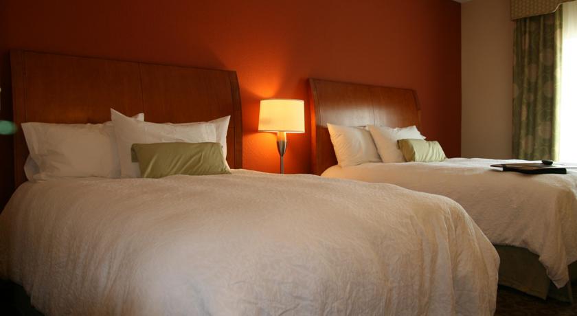 Imagen general del Hotel Hampton Inn and Suites Buffalo, Buffalo . Foto 2