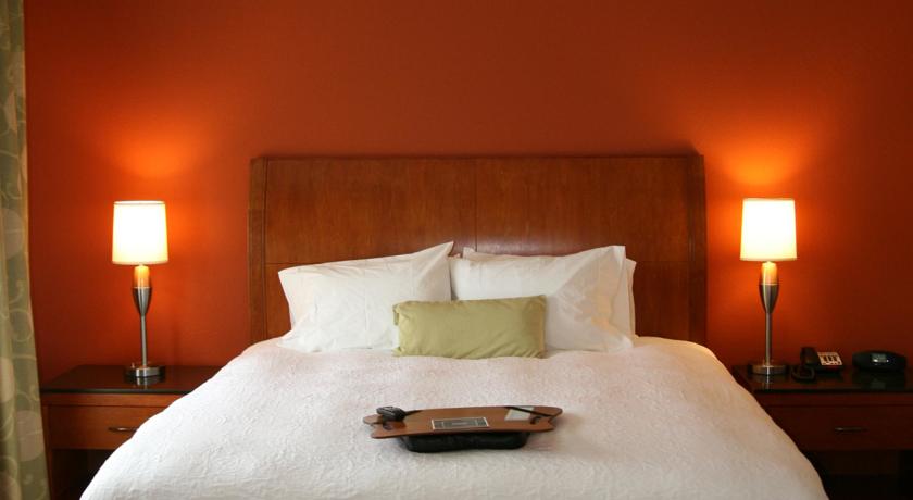 Imagen general del Hotel Hampton Inn and Suites Buffalo, Buffalo . Foto 9