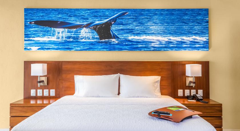 Imagen general del Hotel Hampton Inn and Suites By Hilton Los Cabos. Foto 5