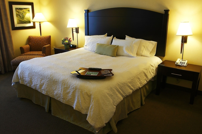 Imagen de la habitación del Hotel Hampton Inn and Suites By Hilton Moncton. Foto 4