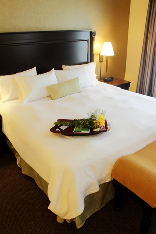 Imagen de la habitación del Hotel Hampton Inn and Suites By Hilton Moncton. Foto 8