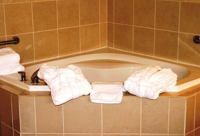 Imagen de la habitación del Hotel Hampton Inn and Suites By Hilton Toronto Airport. Foto 7