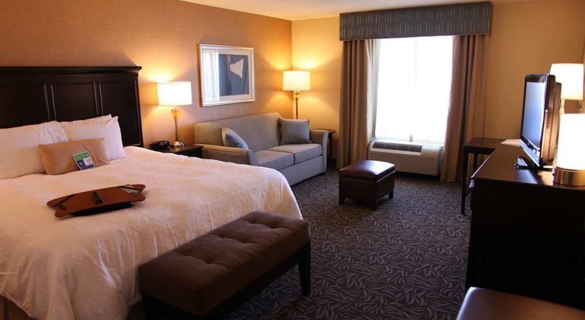 Imagen general del Hotel Hampton Inn and Suites Carlsbad. Foto 3