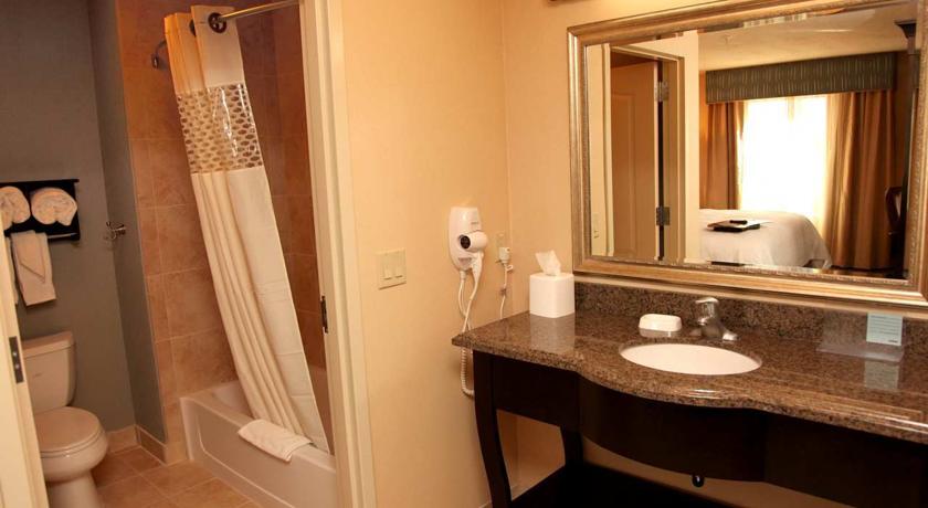 Imagen general del Hotel Hampton Inn and Suites Carlsbad. Foto 5