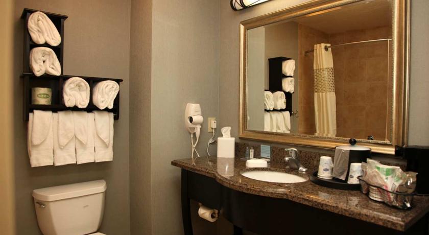 Imagen general del Hotel Hampton Inn and Suites Carlsbad. Foto 8