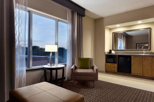 Imagen de la habitación del Hotel Hampton Inn and Suites Clayton/st. Louis-galleria Area. Foto 4