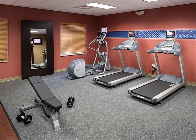 Imagen de los interiores del Hotel Hampton Inn and Suites Clovis-airport North. Foto 9