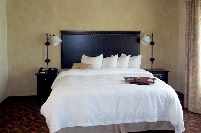 Imagen de la habitación del Hotel Hampton Inn and Suites Dallas Arlington. Foto 5