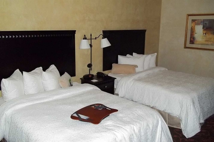 Imagen de la habitación del Hotel Hampton Inn and Suites Dallas Arlington. Foto 6