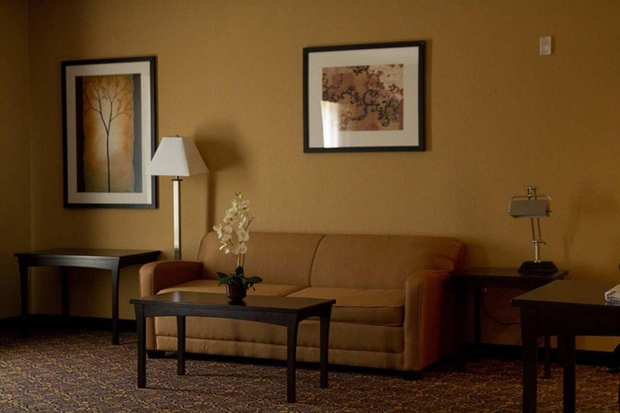 Imagen de los interiores del Hotel Hampton Inn and Suites Dallas-desoto. Foto 13