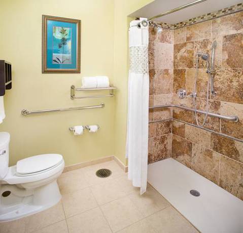 Imagen de la habitación del Hotel Hampton Inn and Suites Dallas/lewisville-vista Ridge Mall, Tx. Foto 4