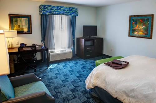 Imagen de la habitación del Hotel Hampton Inn and Suites Dallas/lewisville-vista Ridge Mall, Tx. Foto 11