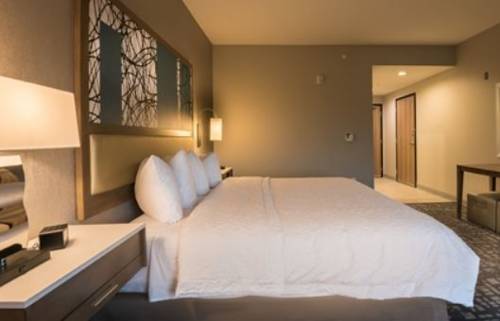 Imagen de la habitación del Hotel Hampton Inn and Suites Dallas-the Colony, Tx. Foto 5
