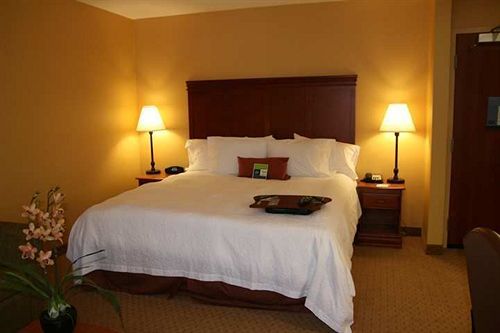 Imagen general del Hotel Hampton Inn and Suites Denver-speer Boulevard. Foto 2