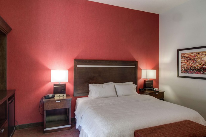 Imagen de la habitación del Hotel Hampton Inn and Suites Detroit / Airport - Romulus. Foto 16