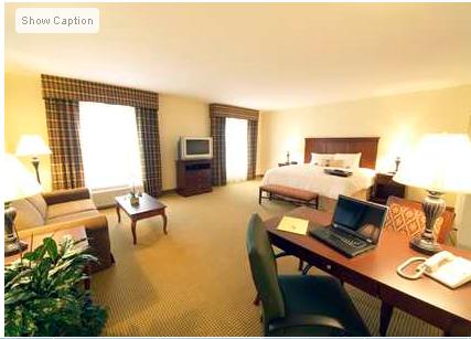 Imagen general del Hotel Hampton Inn and Suites Dobson. Foto 1