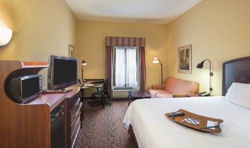 Imagen de la habitación del Hotel Hampton Inn and Suites Dothan. Foto 5