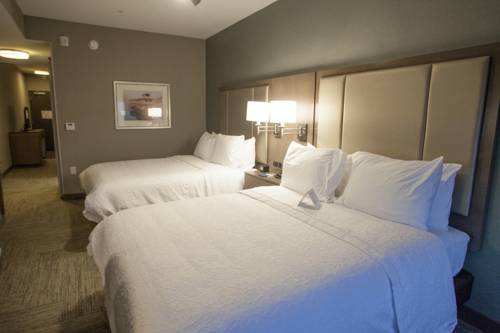Imagen de la habitación del Hotel Hampton Inn and Suites Downtown St. Paul. Foto 4