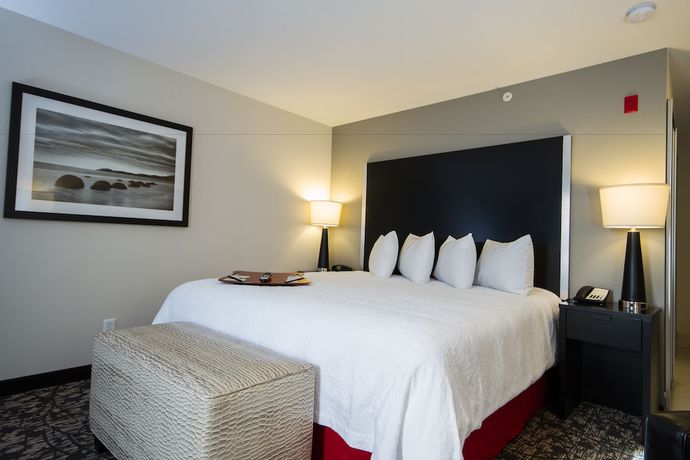 Imagen de la habitación del Hotel Hampton Inn and Suites DuPont. Foto 9