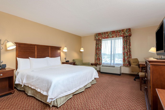 Imagen de la habitación del Hotel Hampton Inn and Suites Florence-North-I-95. Foto 4
