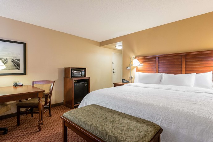 Imagen de la habitación del Hotel Hampton Inn and Suites Florence-North-I-95. Foto 15