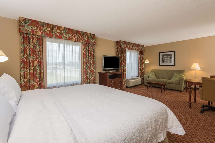Imagen de la habitación del Hotel Hampton Inn and Suites Florence-North-I-95. Foto 16