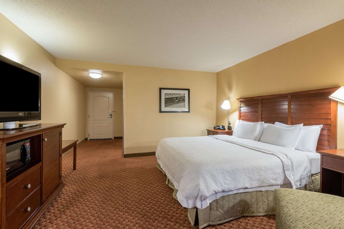 Imagen de la habitación del Hotel Hampton Inn and Suites Florence-North-I-95. Foto 17