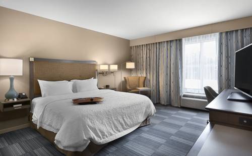 Imagen de la habitación del Hotel Hampton Inn and Suites Fort Mill. Foto 3